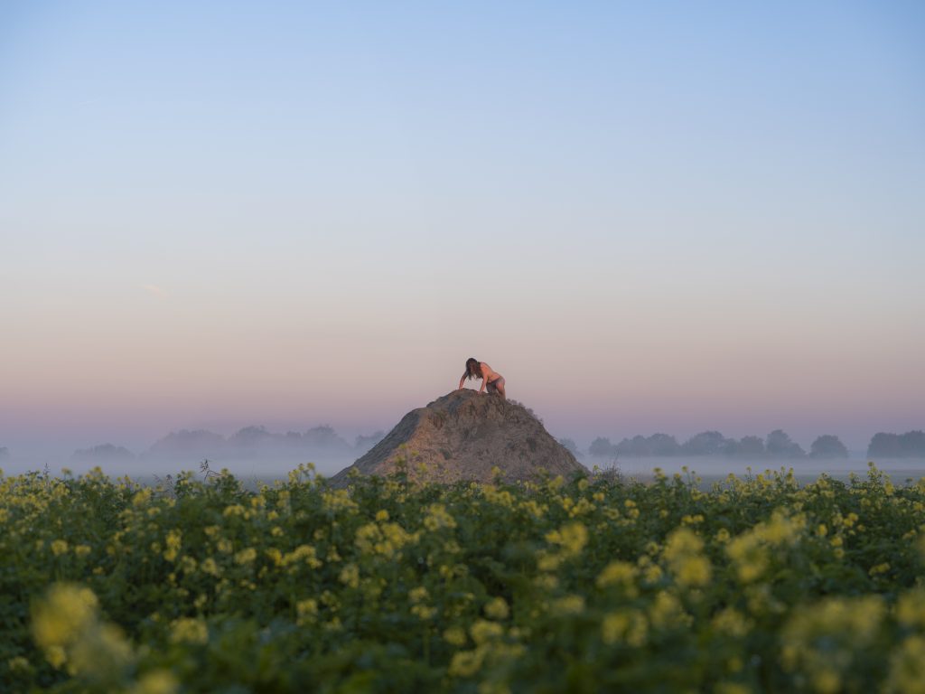 Woman climbing a heap of sand rising above a field of yellow flowers. With the first Rays of sunshine hitting her skin, giving it al warm pink orange glow.